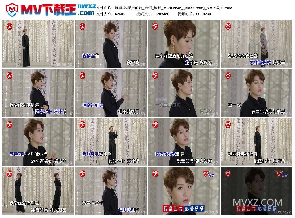 陈凯欣-无声的痛_台语_流行_MD105645